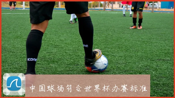 中国球场符合世界杯办赛标准